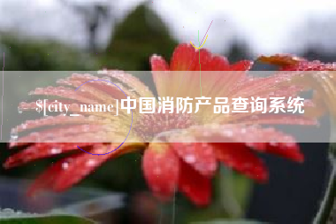 梧州中国消防产品查询系统