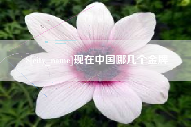 梧州现在中国哪几个金牌