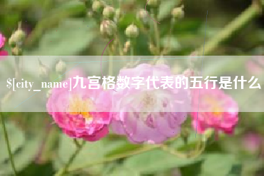梧州九宫格数字代表的五行是什么