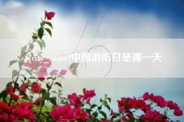 梧州中国消防日是哪一天
