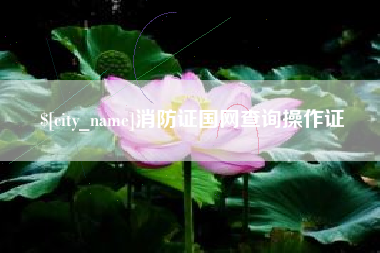 梧州消防证国网查询操作证
