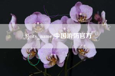梧州中国消防官方