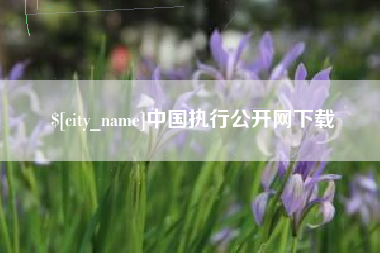 梧州中国执行公开网下载