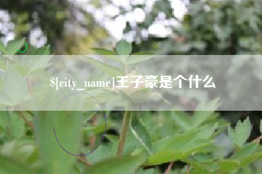 梧州王子豪是个什么