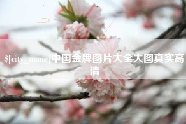梧州中国金牌图片大全大图真实高清