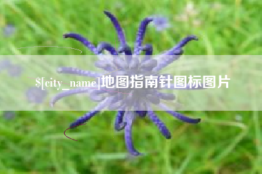 梧州地图指南针图标图片