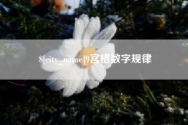梧州9宫格数字规律