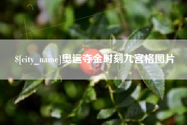 梧州奥运夺金时刻九宫格图片