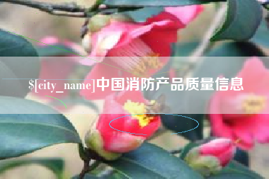 梧州中国消防产品质量信息