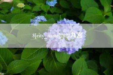 梧州2022九宫