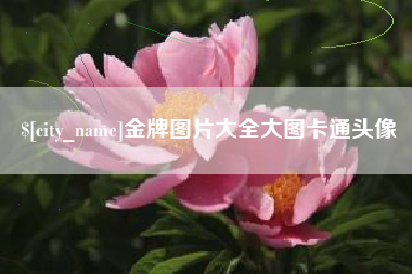 梧州金牌图片大全大图卡通头像