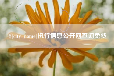 梧州执行信息公开网查询免费
