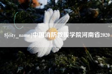 梧州中国消防救援学院河南省2020